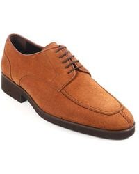 VELLAPAIS - Moxy Derby - Lyst