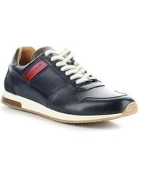 Ambitious - 11240 Perforated Sneaker - Lyst