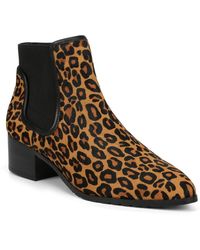 david pliner sale
