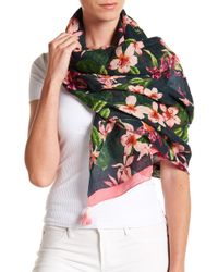 tommy bahama scarf