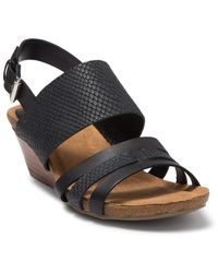 sofft annaleigh black