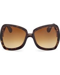 Tom Ford - Jerry 60Mm Gradient Butterfly Sunglasses - Lyst