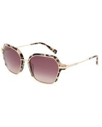 Ted Baker - 55Mm Gradient Square Sunglasses - Lyst