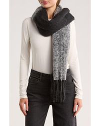 Steve Madden - Two-Tone Fringe Scarf - Lyst