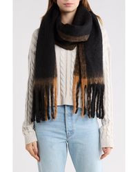 Steve Madden - Pop Border Stripe Scarf - Lyst
