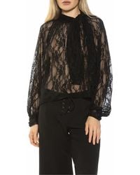 Alexia Admor - Rae Lace Top With Neck Tie - Lyst
