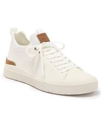 Steve Madden - Pyper Sneaker - Lyst