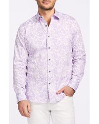 Robert Graham - Caledon Cotton Button-Up Shirt - Lyst