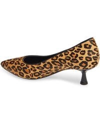 donald pliner kitten heel pumps