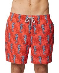 Rainforest - Curled Tails Seahorse Stretch Swim Trunks - Lyst