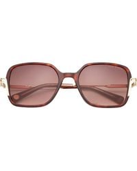 Ted Baker - 55Mm Square Sunglasses - Lyst