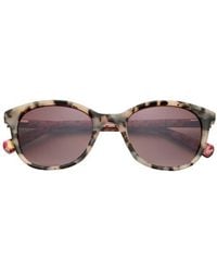 Ted Baker - 51Mm Gradient Modified Round Sunglasses - Lyst