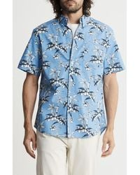 Jachs New York - Bay Stretch Oxford Short Sleeve Shirt - Lyst