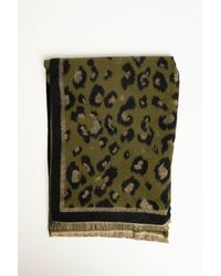 NUNA LIE - Sciarpa Animalier Taglia - Lyst