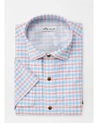 peter millar skull and crossbones shorts