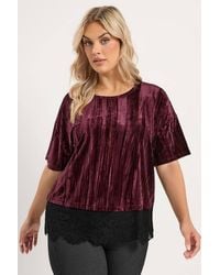 Yours - Crushed Velour Lace Hem Top - Lyst