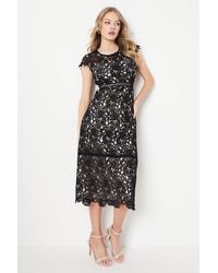 Oasis - Occasion Cap Sleeve Lace Midi Dress - Lyst