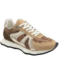 Ravel - 'Innes' Leather Lace-Up Trainers - Lyst