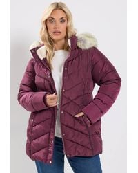 Yours - Short Padded Coat - Lyst