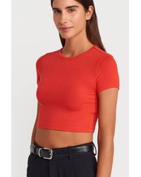 Dilvin - Crop Slim-Fit Crew Neck T-Shirt - Lyst