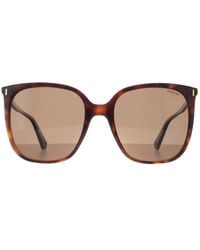 Polaroid - Square Havana Bronze Polarized Pld 6218/S - Lyst