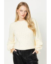 Oasis - Crystal Pointelle Sweater - Lyst
