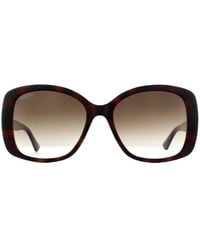 Gucci - Butterfly Havana Gradient Gg0762S Sunglasses - Lyst