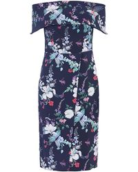 oasis megan dress