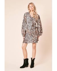 Dorothy Perkins - Animal Blouson Sleeve Mini Shirt Dress - Lyst
