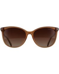 Polaroid - Cat Eye Sunglass Champagne Gradient Polarized Pld 4200/Sx - Lyst