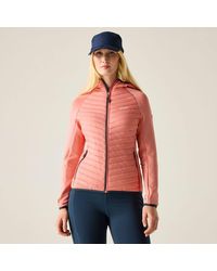 Regatta - Andreson Stretch Water-Repellent Hybrid Quilted Jacket - Lyst