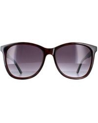 Ted Baker - Oval Tortoiseshell Gradient Tb1496 Alva - Lyst