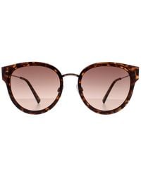 Ted Baker - Cat Eye Havana Gradient Tb1659 Ayala Sunglasses - Lyst