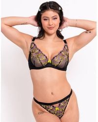 Curvy Kate - Stand Out Plunge Bra Scooped Wired Lingerie - Lyst