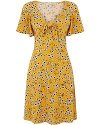 oasis daisy sundress