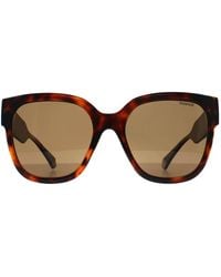 Polaroid - Square Havana Bronze Polarized Pld 6167/S - Lyst
