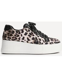Linzi - Twyla Leopard Print Trainers - Lyst