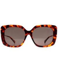 Ted Baker - Square Tortoise Tb1732 Heather - Lyst