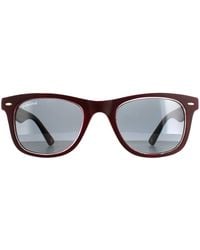 Montana - Square Burgundy Rubbertouch Polarized Mp41 Sunglasses - Lyst