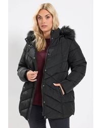 Yours - Short Padded Coat - Lyst