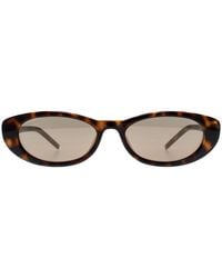 Gucci - Cat Eye Sunglass Havana Gg1680S - Lyst