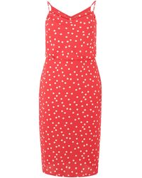 oasis curve animal wrap midi