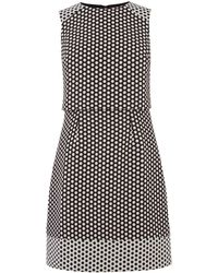 oasis karlie skater dress