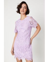 Oasis - Occasion Lace Short Sleeve Mini Dress - Lyst