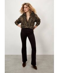 Apricot - Leopard Print Denim Crop Jacket - Lyst