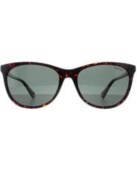 Polaroid - Cat Eye Sunglass Havana Polarized Pld 4161/S - Lyst