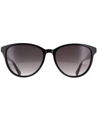 Ted Baker - Oval Gloss Solid Gradient Tb1763 Flori - Lyst