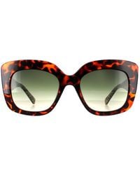 Ted Baker - Cat Eye Sunglass Double Champagne Demi Gradient Tb1675 Hattie - Lyst