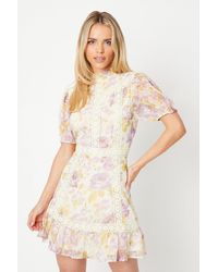 Oasis - Petite Rose Floral Dobby Chiffon Lace Trim Mini Dress - Lyst