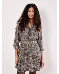 Apricot - Animal Print Crepe Shirt Mini Dress - Lyst